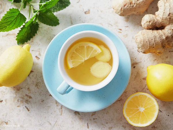 Phytothérapie : top 6 des plantes médicinales contre les maux d’estomac