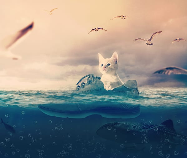 Les Républicains à bord du Ciottitanic?