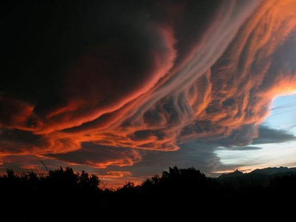 Chronique de Davos (4) – le crépuscule des vieux