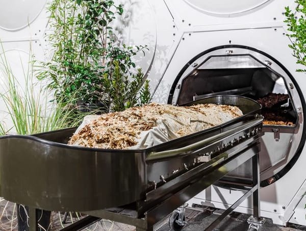 Novlangue : « l’humusation », nouveau nom de l’enterrement, par Modeste Schwartz