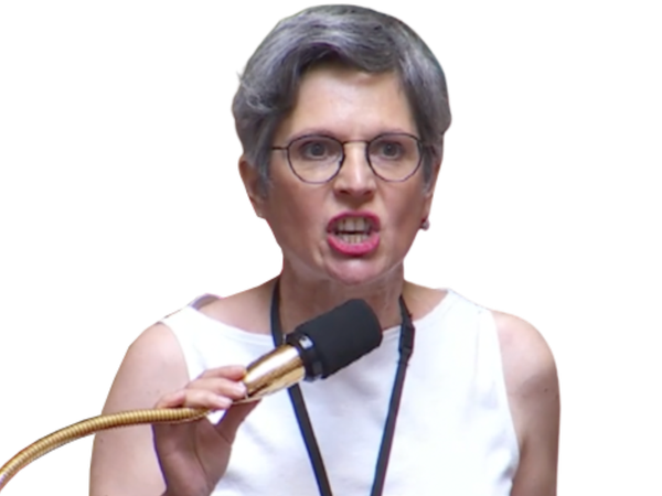 Sandrine Rousseau est-elle fasciste?