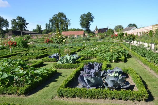 Potager de la sécession : conseils pour les débutants, par Frédéric Cadiou