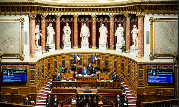 Sénatoriales : EELV rackette la NUPES, par Modeste Schwartz