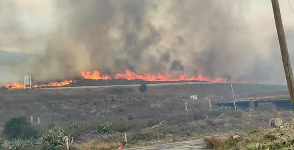Cerbère/Madrid : Davos réduit notre empreinte carbone – par le feu, par Modeste Schwartz