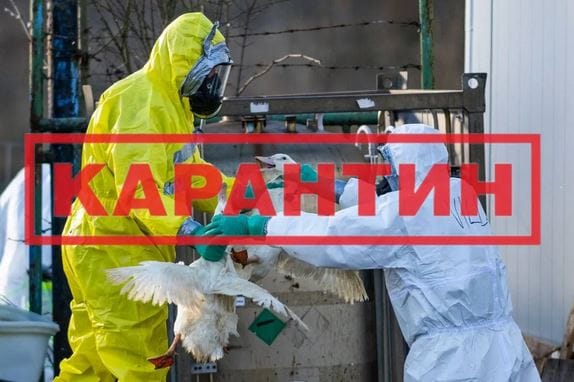 Virus X : la Paix peut nous ramener un Covid – ou vice-versa ? par Modeste Schwartz