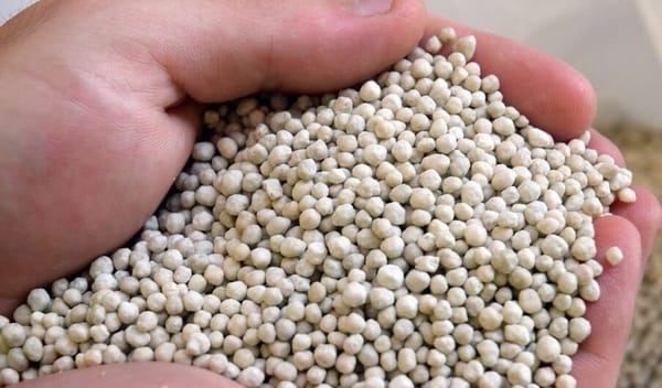 Nitrate : vive la vie ! par Dominique Delfosse