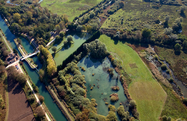 Le mille-feuille escrolo : vous en reprendrez bien une part ? par Dominique Delfosse
