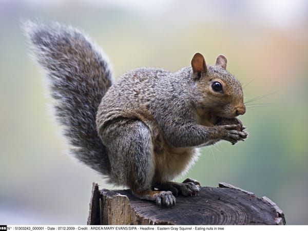 Le plan épargne retraite de Le Maire, une affaire qui marche ?