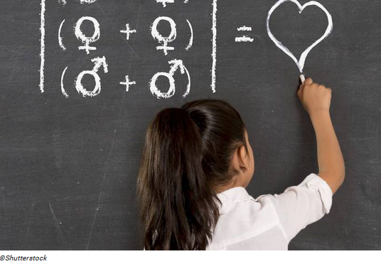 Ecole : l’enfumage fondamental des savoirs fondamentaux, par Modeste Schwartz