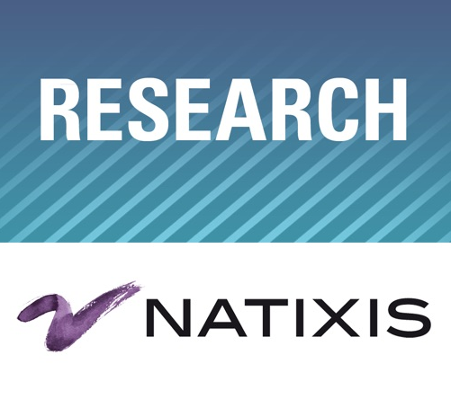 Rapport Natixis : la France de QUELLE inégalité ? par Modeste Schwartz