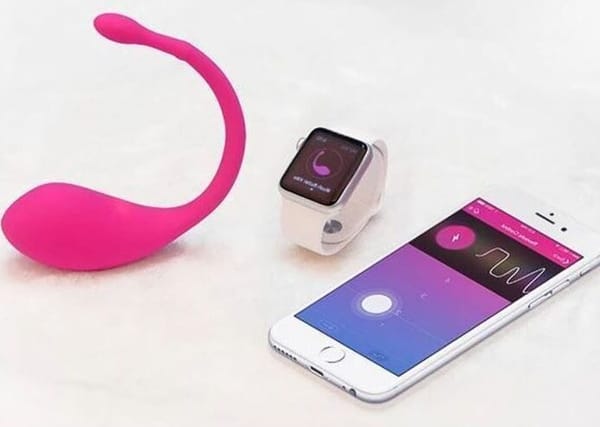 LFI : la surveillance omniprésente, d’accord – mais pas les Sex Toys ! par Modeste Schwartz