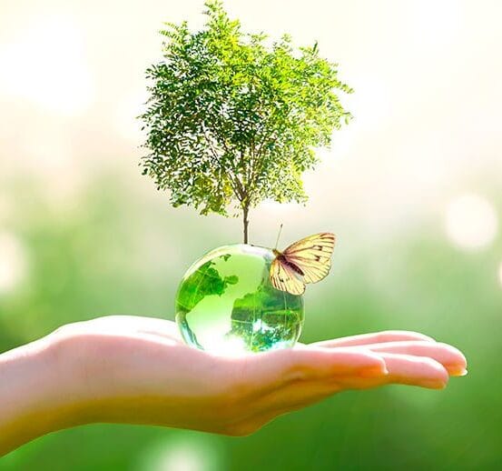 Transition écologique : les métiers imaginaires d’un univers parallèle, par Modeste Schwartz