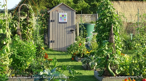 L’autonomie alimentaire pour un couple avec 12m² de potager ? c’est possible, voici comment