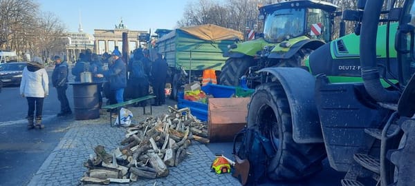 Révolution paysanne en Allemagne, guerre au Yémen, Davos en folie, Attal et le vide