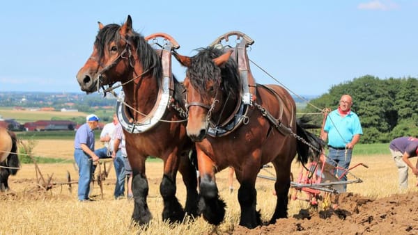 Un agriculteur envoie du lourd sur la mafia corporatiste agricole