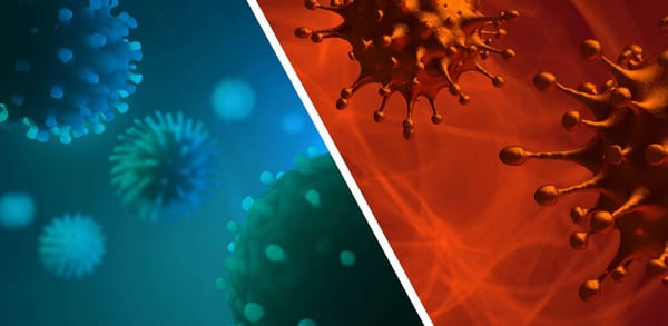 France : la grippe fait actuellement plus de décès que le Covid-19