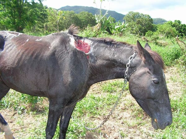 De moins en moins de Français paient l’impôt sur le revenu, mais ils paient de plus en plus…