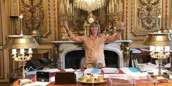 Xavier Niel fait un cadeau en or à Mimi Marchand, protectrice de Macron