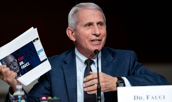 Enquête COVID : le Dr Fauci malmené par les Républicains
