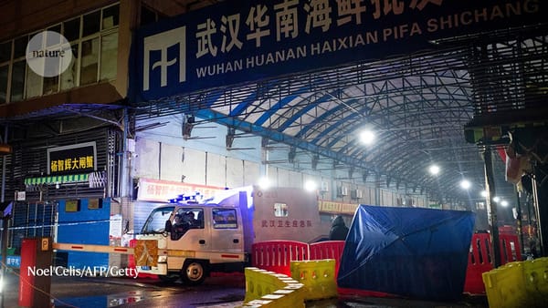 Origines du Covid : la « thèse du Pangolin et de la chauve-souris »  revient par la fenêtre