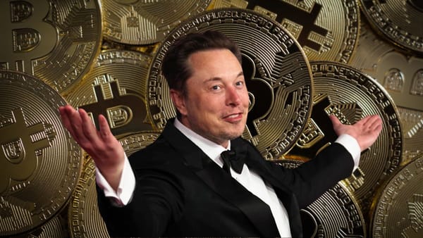 USA: Elon Musk étouffe les spéculations sur le Dogecoin