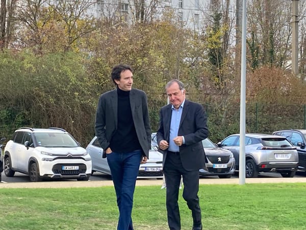 PARIS à vendre , par Michel Goldstein