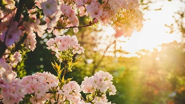 Meyssan : « Nos raisons d’espérer gisent dans notre sens du devoir moral »