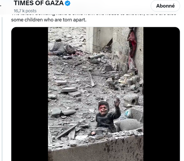 Palestine: face au génocide qui continue les complices occidentaux deviennent fébriles