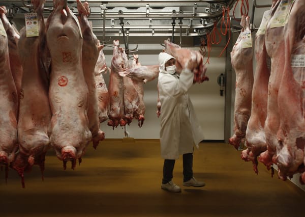 Retraites : le permis de casser la santé sera préservé