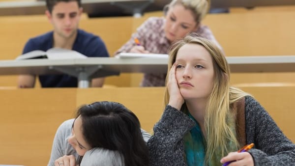 ParcoursSUP: elle envoie une recette de brownie et obtient une place de fac en psycho