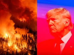 Quelles sont les premières leçons à tirer pour la France de Trump II?