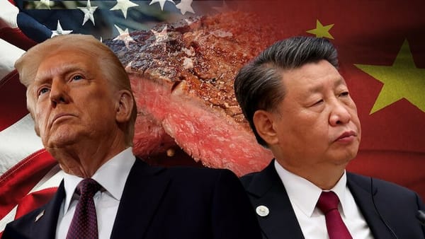 Pékin mise sur les menaces douanières de Trump et la guerre en Ukraine pour affaiblir l’Europe, par Ulrike Reisner