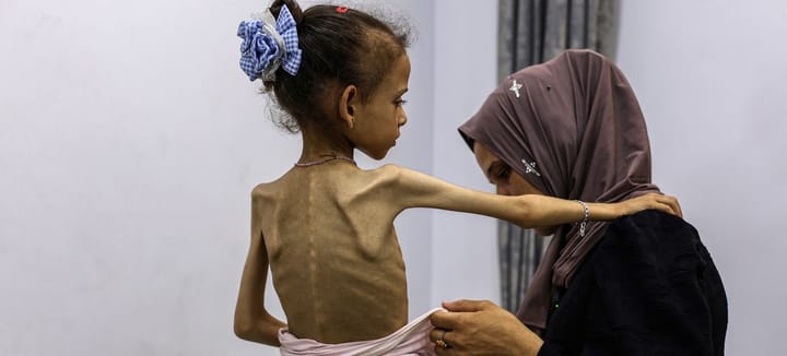 Gaza: 114 avocats français veulent faire poursuivre Macron, Bayrou, des ministres et des députés devant la CPI