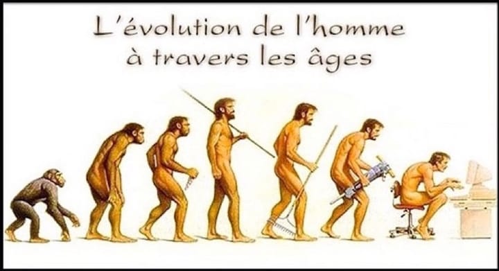 Retrouver sa souveraineté personnelle : un guide pour se "désavachir"