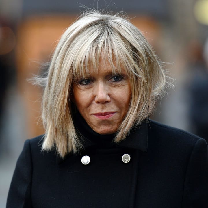 Tifs de Brigitte : 5 200€/mois – paie ta démocratie ! par Modeste Schwartz