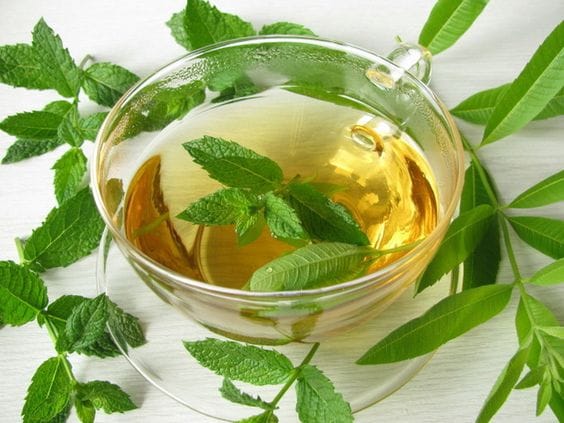 Des chercheurs américains testent une solution simple et naturelle pour prévenir le COVID