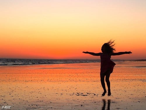 L’échinacée : un allié santé star en hiver comme en été