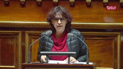 Mc Kinsey : le Sénat a-t-il intentionnellement noyé la mèche qui devait exploser Mc Kinsey ?