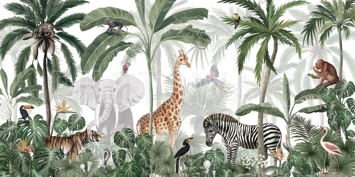 Ordre spontané et loi de la jungle