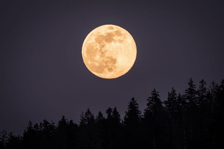 La Lune a-t-elle une influence sur vos cultures ? par Frédéric Cadiou