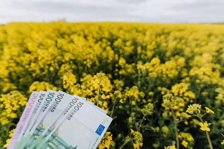 Résistez à la caste qui veut vous mettre au vert, par Florent Machabert