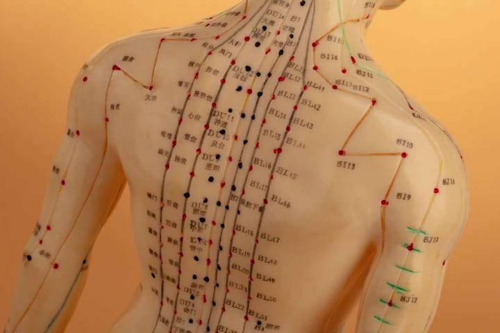Médecine naturelle : l’OMS ridiculise No FakeMed et ses fanatiques