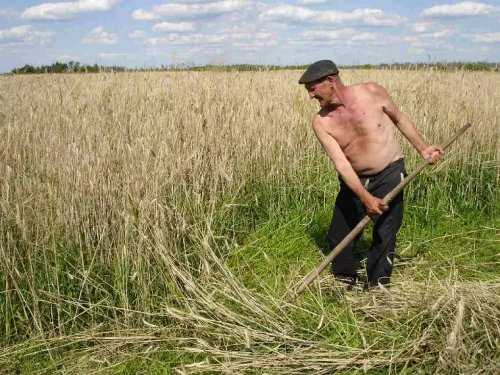 Agriculture : le corporatisme qui avantage la FNSEA depuis des années est en crise