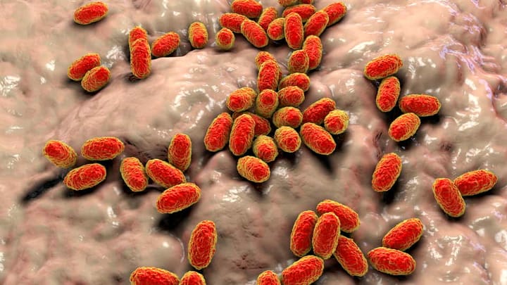 Hausse des cas de coqueluche : l’UE réitère son appel à la vaccination