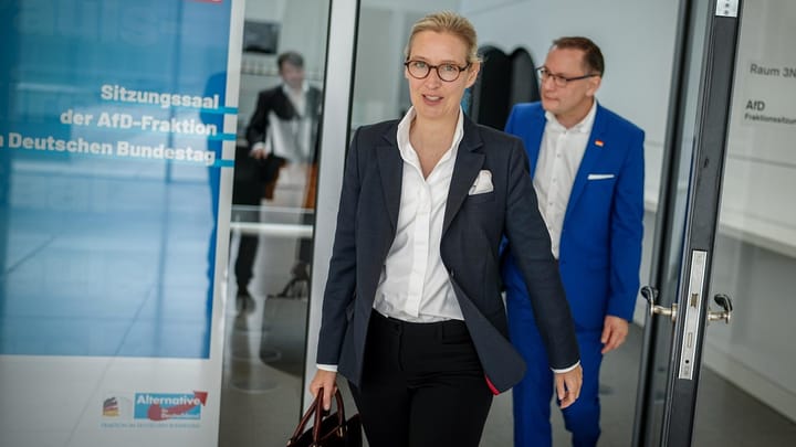 Les services secrets allemands donnent le feu vert pour démanteler l’AfD, par Ulrike Reisner